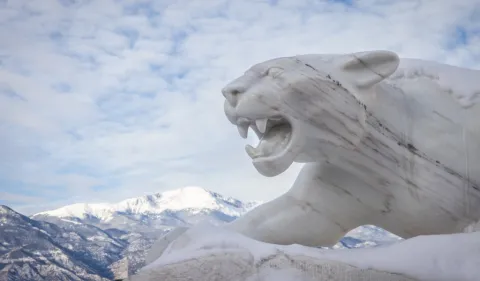 mountain lion statue