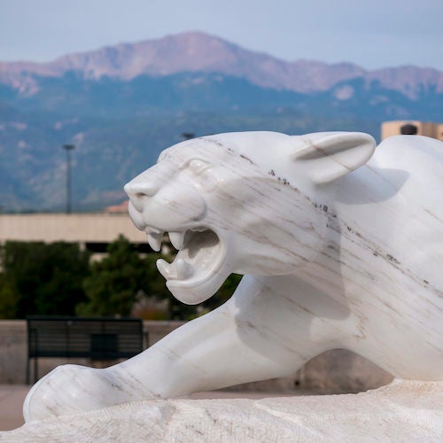 UCCS Chancellor #39 s Award UCCS
